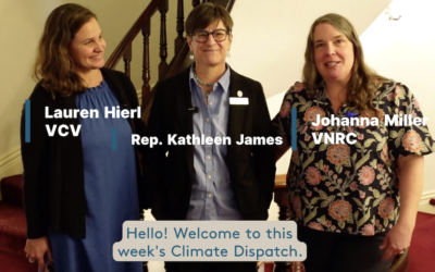 Climate Dispatch: Renewable Energy and Flood Safety Bills Pass!