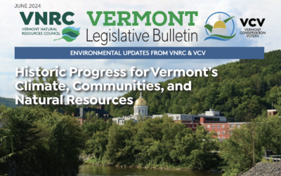 VNRC & VCV Release the 2024 Legislative Bulletin