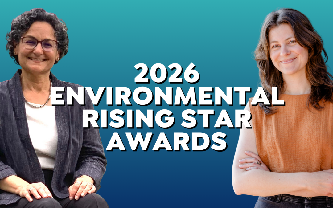 Meet our Rising Star Award Winners