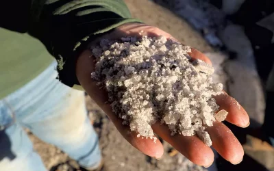 Keeping Roads, Walkways, and our Waters Safe