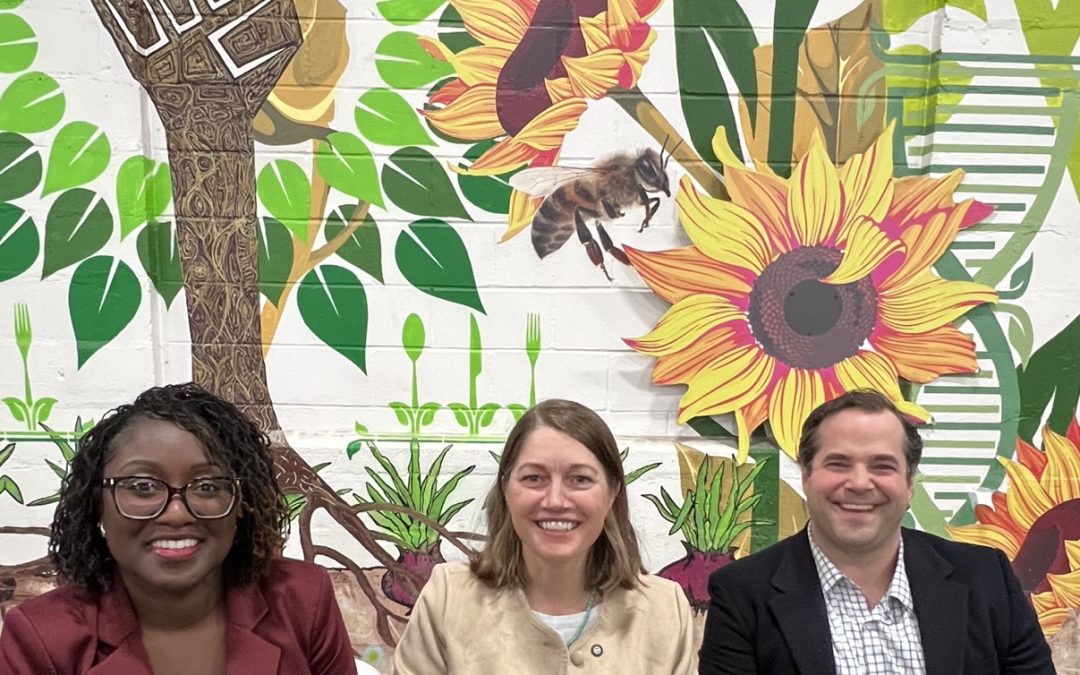 Meet the Democratic Candidates for Lieutenant Governor
